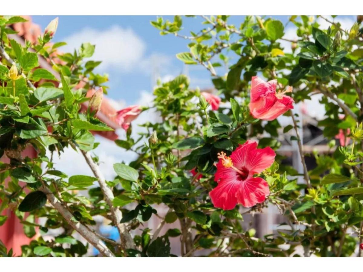 Hotel Pescatore Okinawa - Vacation Stay 20882V Naha Ngoại thất bức ảnh